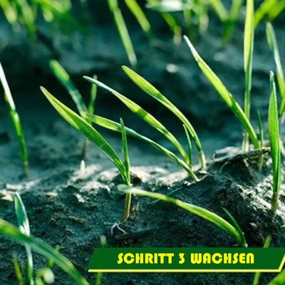 Biologisch abbaubare Gras-Saatgutmatte